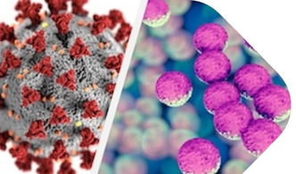 Standarddatei